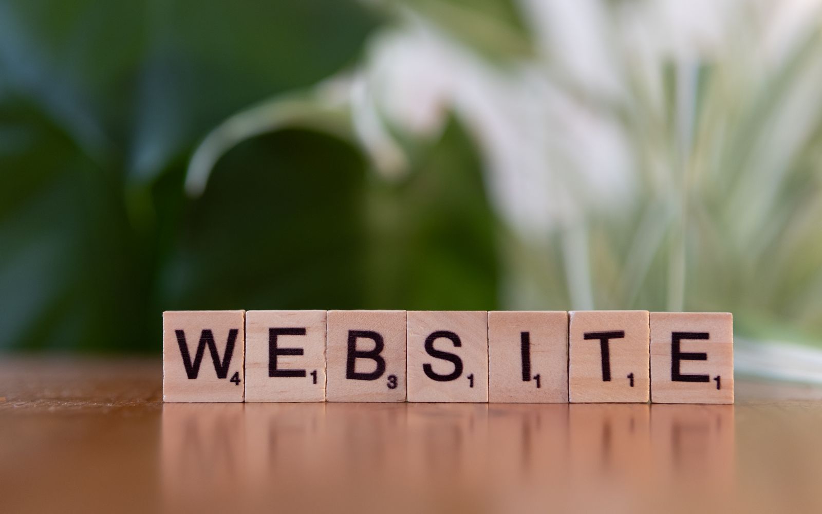 Peças de jogo formando a palavra Website sobre madeira
