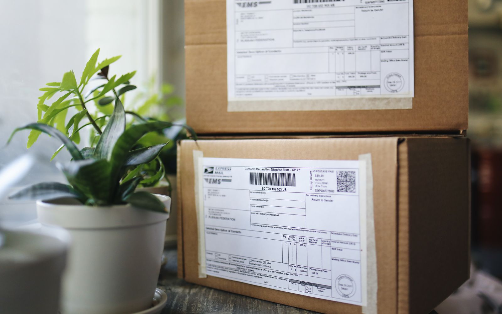 Pacotes marrom de papelão com etiquetas de envio ao lado de plantas de interior em uma mesa