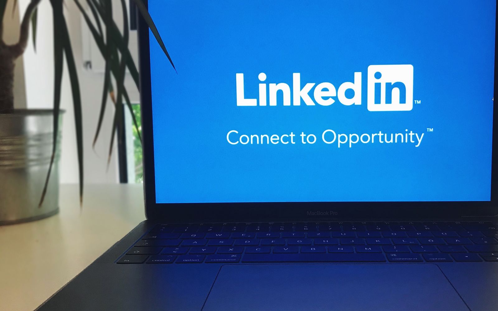 Tela de notebook com o logo do LinkedIn e a frase Connect to Opportunity