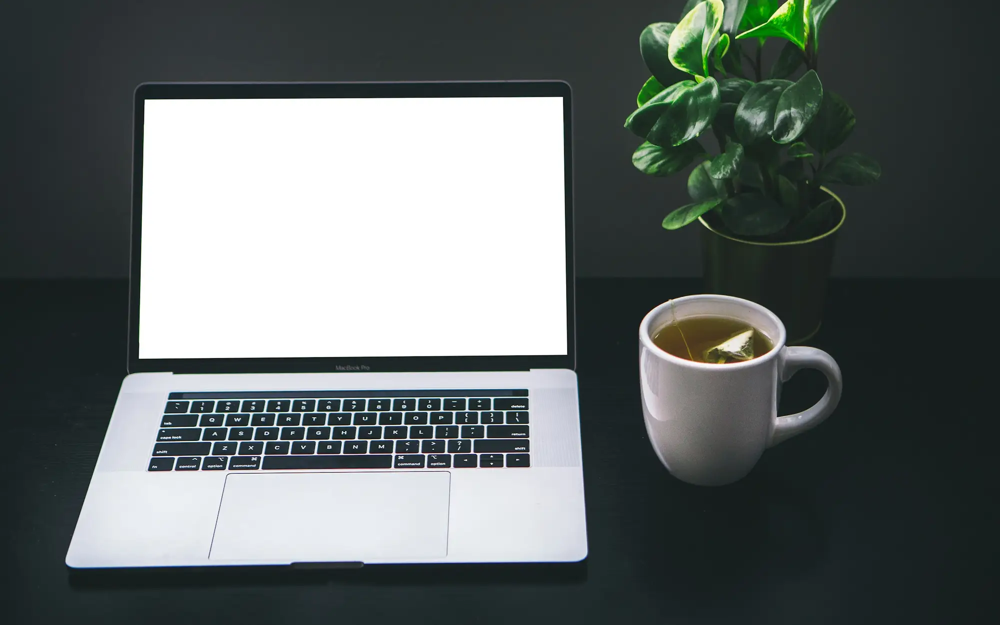 Notebook aberto sobre a mesa, ao lado de uma planta